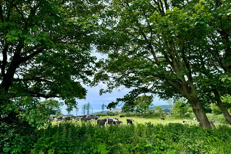 Strong agriculture is a large part of the strategy