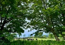 Tynwald backs DEFA’s 2025/26 plan to strengthen island’s food security
