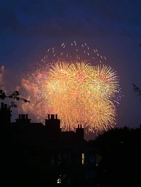 Ballakeenan Farm in West Jurby said that fireworks set off near its fields in 2024 led to significant financial loss and 'a huge emotional toll'