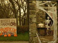 Farm in the Isle of Man transformed into spooky Hop-Tu-Naa festival