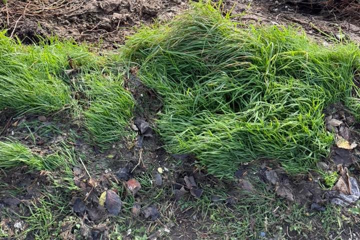 The landslip in Port St Mary (credit: Port St Mary Commissioners)