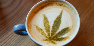 Island's first medicinal cannabis café clears major planning hurdle