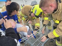 Firefighters free one-year-old Bonnie after trolley ordeal at Tesco