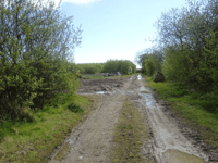Farmer will be ordered to remove track