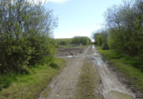 Farmer will be ordered to remove a track constructed without planning permission