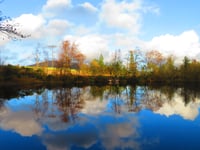 Manx Wildlife Trust looking to appoint new partnerships manager