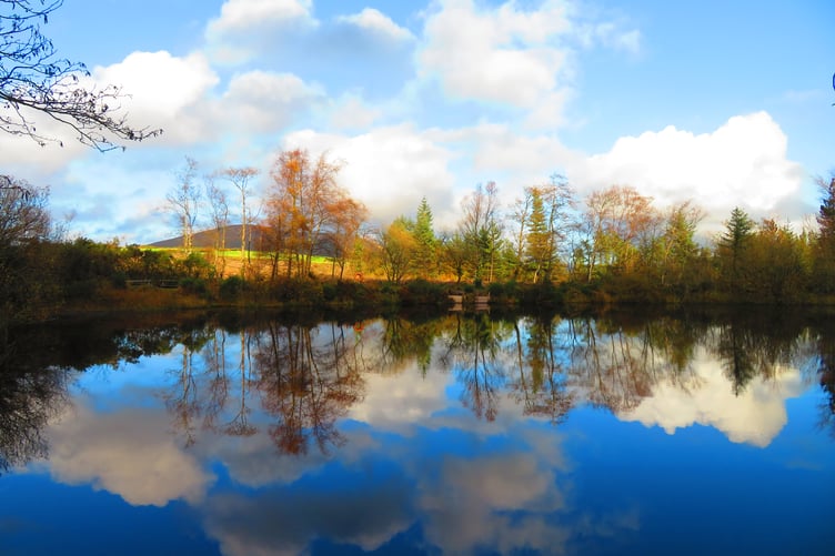 Gosia Koguc-Batista snapped this shot of the Archallagan Plantation