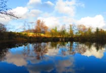 Manx Wildlife Trust looking to appoint new partnerships manager