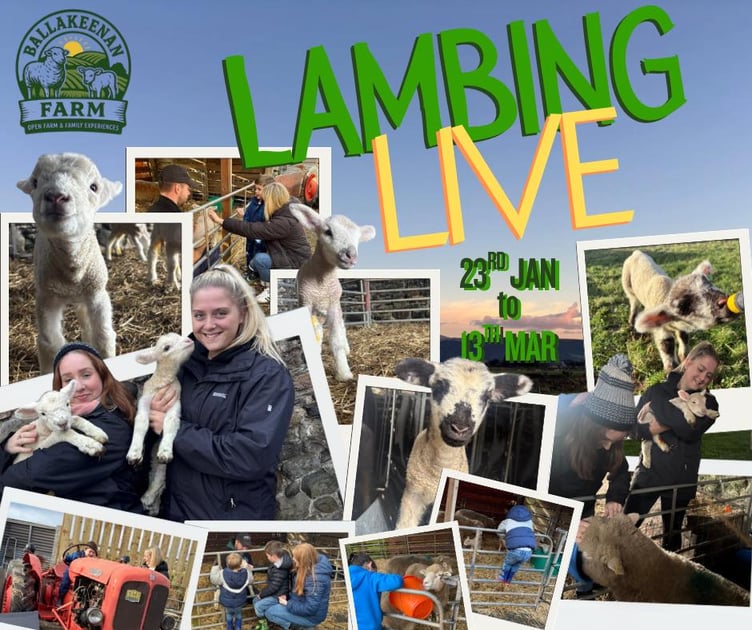 Lambing Live in 2026