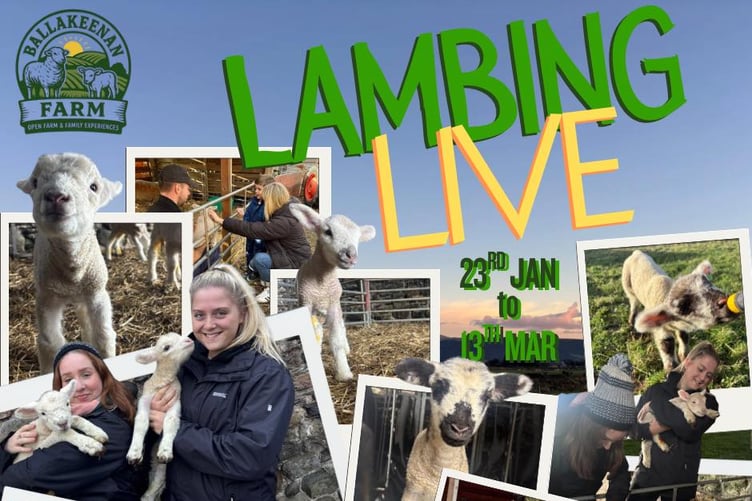 Lambing Live in 2026