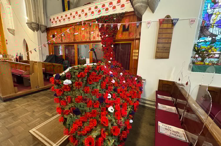 524 poppies in red, white and purple were knitted and crocheted to make a handmade poppy fall in Marown
