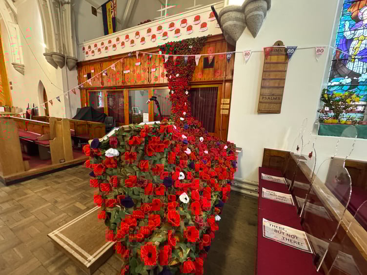 524 poppies in red, white and purple were knitted and crocheted to make a handmade poppy fall in Marown