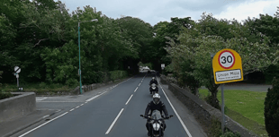 Section of road to shut for two days as part of tree-felling works
