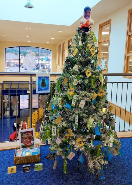 Ed Space Christmas Tree in Ramsey with a special star on the top. 