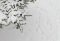 Latest Arts Society lecture to look at meanings of snow in art traditions