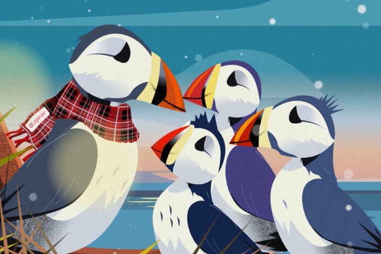 The family of puffins starring in Loganair's latest Christmas advert