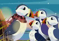 Loganair wants your help naming the puffin starring in its latest Christmas advert