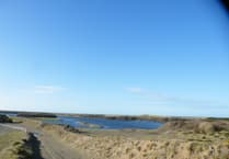 Fears unwell birds at Isle of Man nature reserve could have bird flu