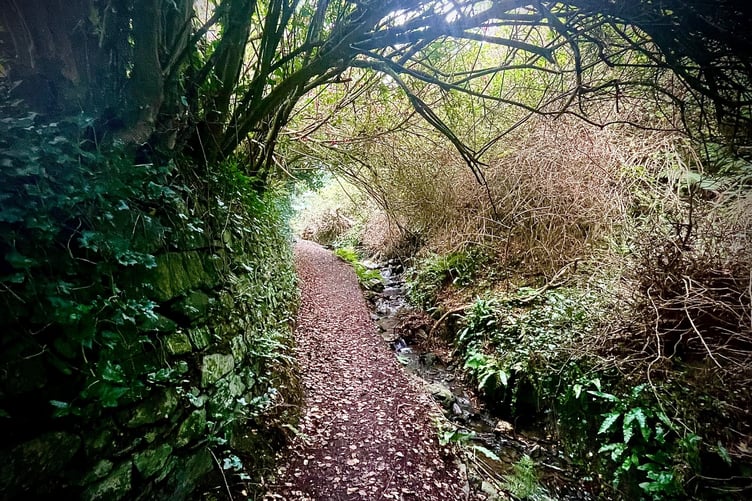 The small glen at Glenchass which is at the centre of some spooky tales