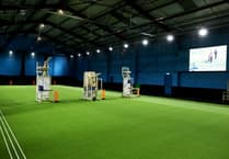 Cricket camps to be held during Christmas holidays