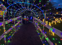 Packed house for last night of Old Horses' Home festive lights show