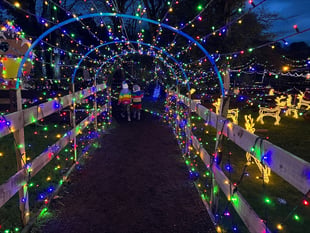 Packed house for last night of Old Horses' Home festive lights show