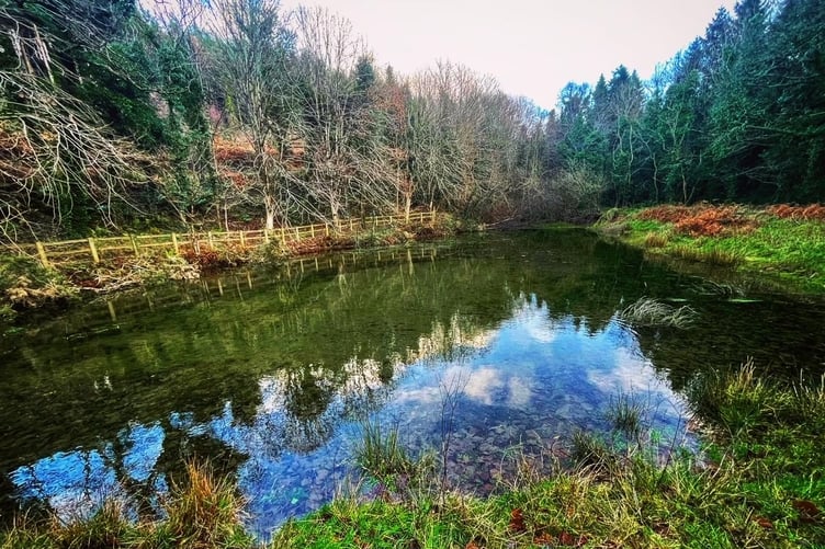 One of the ponds at Ballaugh plantation