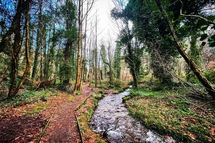 The path at Ballaugh plantation takes you alongside the stream