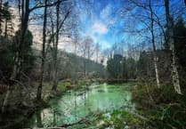 The short but scenic island walk perfect for a New Year's Day stroll