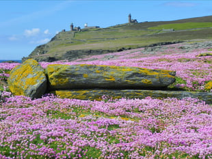Call for a polling station on the Calf of Man