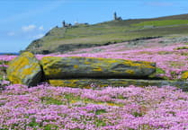 Call for a polling station on the Calf of Man