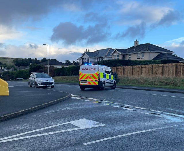 Man in court after incident which saw armed police deployed