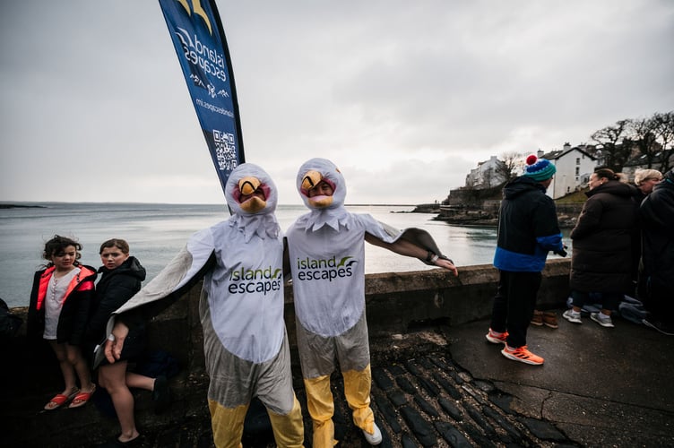 A couple of gulls flying into 2026 with a New Year's Day dip at Port St Mary