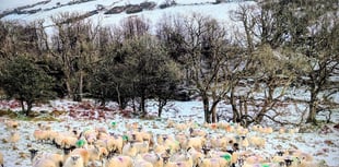 Can we expect more snow this week? Met Office issues update 