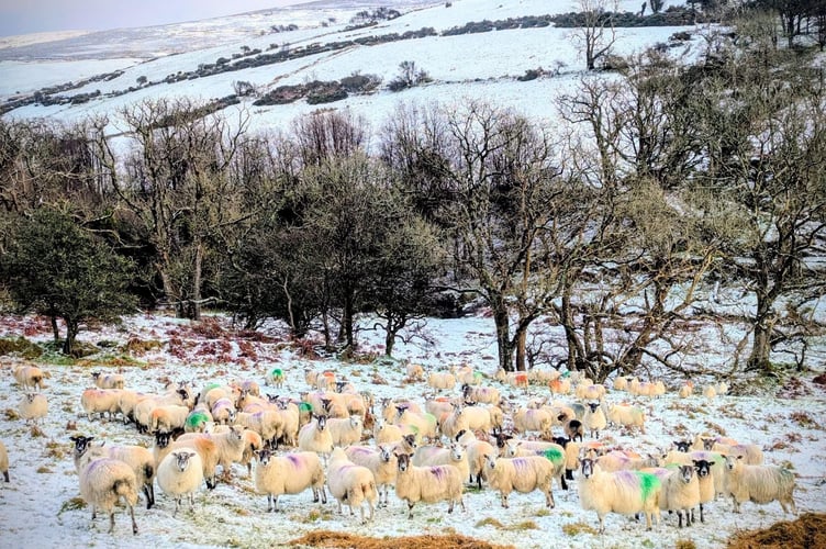 Ronaldsway Met Office have provided an update for the rest of the week. (Photo: Zoe Galloway)