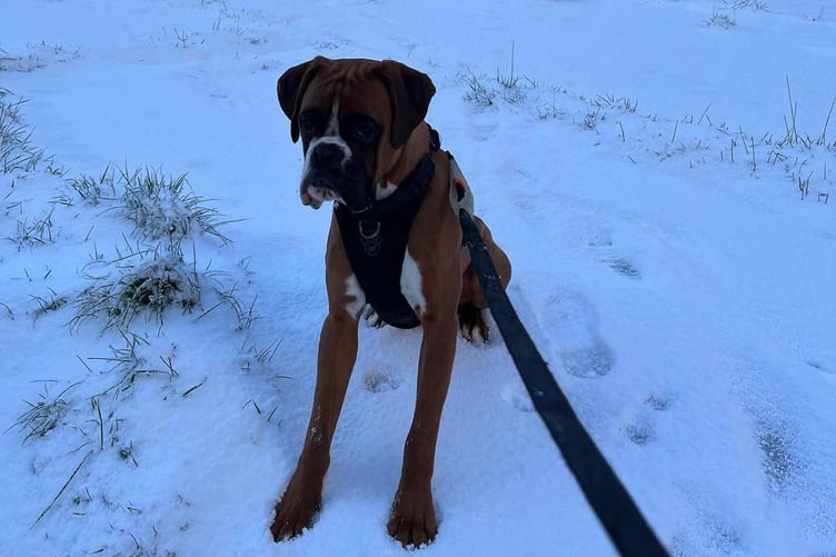 Obi Wan Kenobi wanted to stay in the snow forever