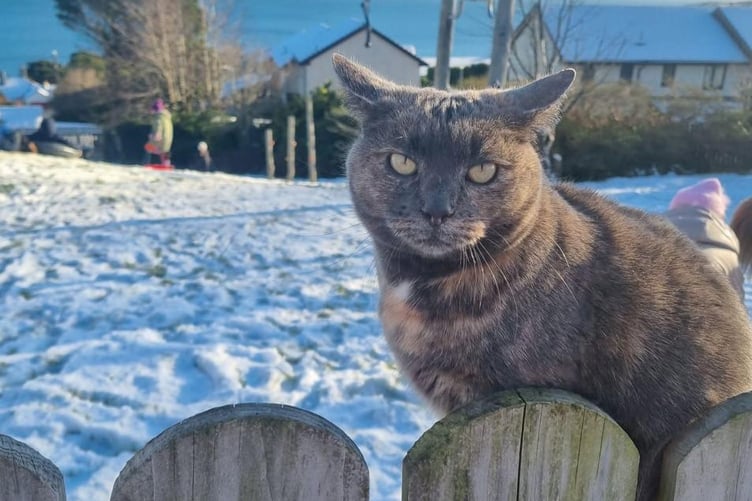 Aero made sure the children were playing safe in the snow at the playground