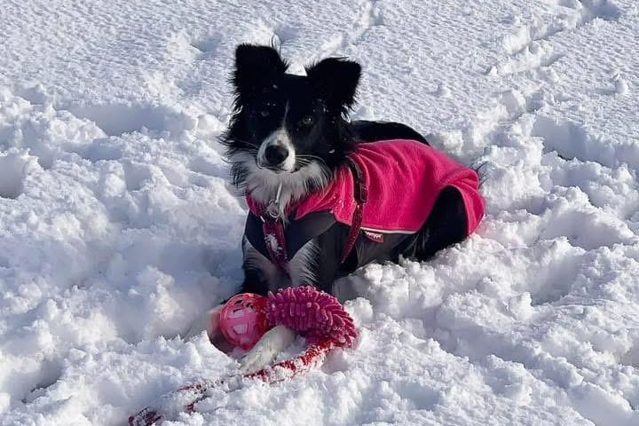It was Lily's first experience of snow