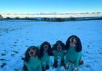 Brilliant pictures as the Isle of Man's furry friends enjoy a rare snow day