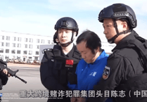 Handcuffed and hooded: Dramatic video shows alleged scam kingpin being extradited