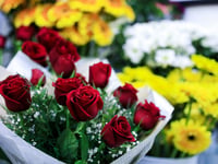 Media Isle of Man launches 2026 Valentine’s multimedia packages