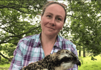 MyBiosphere: Manx BirdLife's Allison Leonard's connection to nature