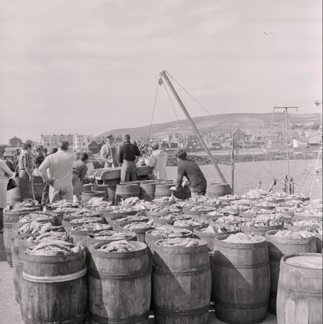 Herring being salted for export at Port St Mary in 1968 (Photo: Manx Press Pictures/imuseum)