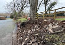 Floral tributes left at scene of fatal Hillberry crash