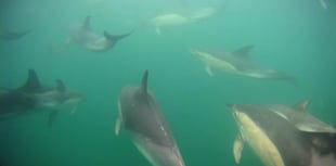 Dalby Schoolrooms hosts cinema night this weekend