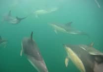 Dalby Schoolrooms hosts cinema night this weekend