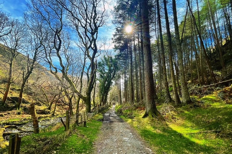 Glen Auldyn in the spring of 2025