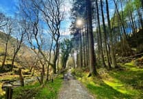 Isle of Man Met Office says 2025 was the second warmest on record