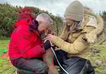 Search ends happily as missing dachshund Toffee is located