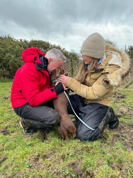 Toffee the dog reunited with his owners on Friday afternoon (Photo: Emma Blakemore)